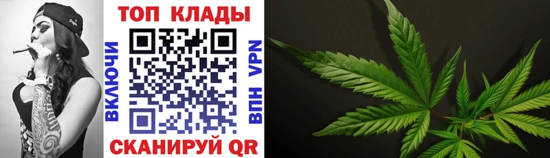 Альфа ПВП Светлогорск