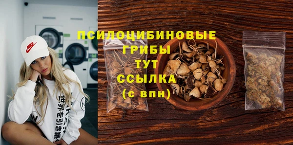 гидропоника Горняк