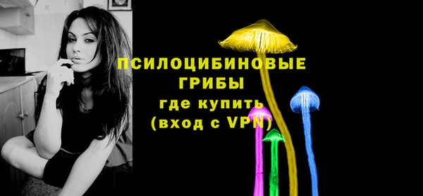 кристаллы Ельня