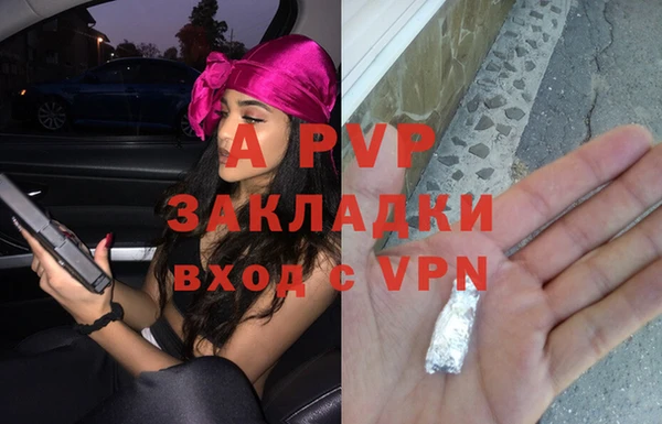 стафф Елабуга