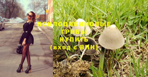 стафф Елабуга