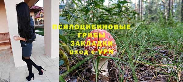 кристаллы Ельня