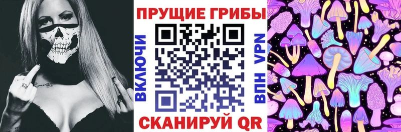 Галлюциногенные грибы мухоморы  Купить где  Светлогорск 