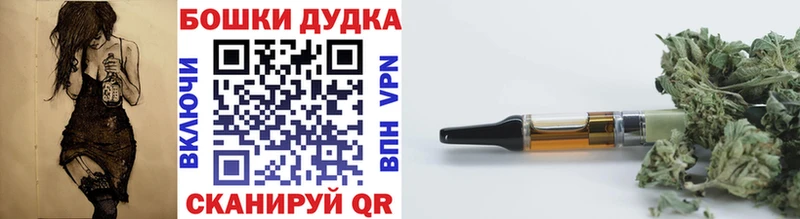 Купить где  Светлогорск  Бошки марихуана SATIVA & INDICA 